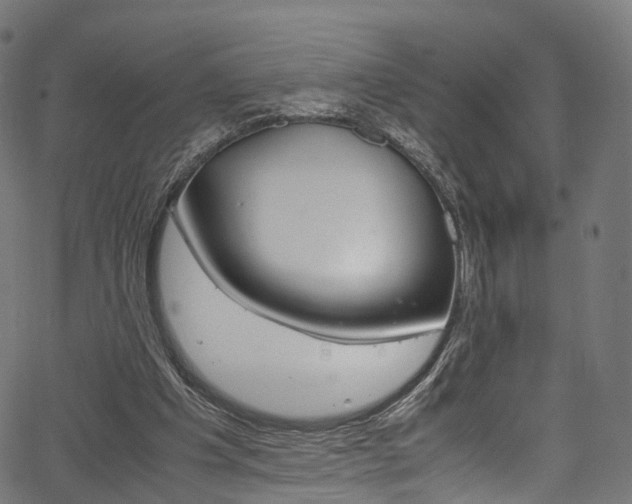X0000067400201200603311029