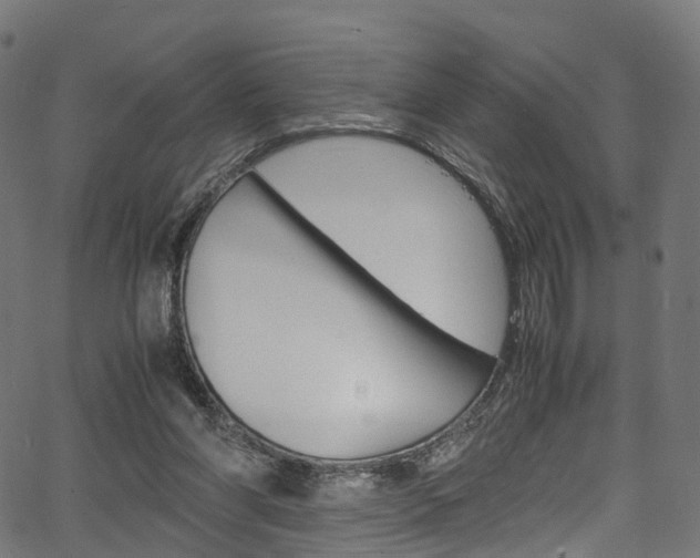 X0000067400206200603311029