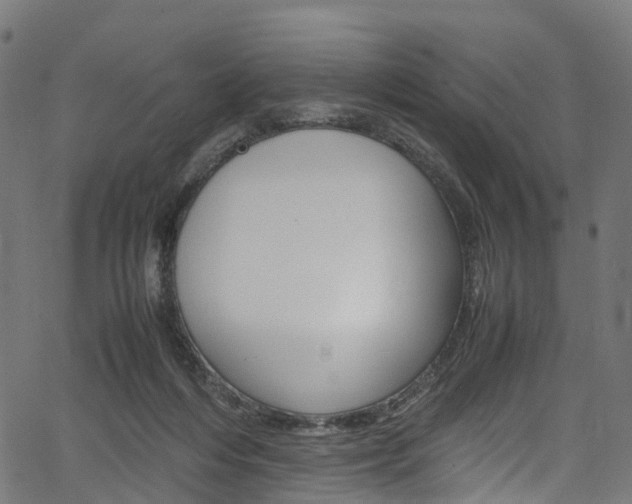 X0000067400216200603311029