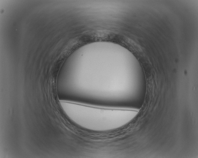 X0000067400225200603311028