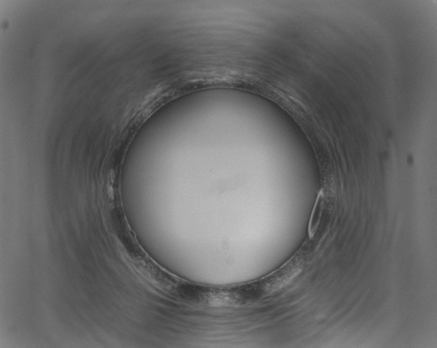 X0000067400264200603311028
