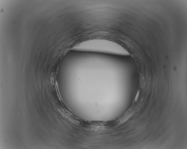 X0000067400284200603311028