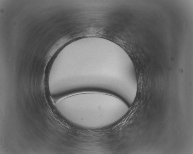 X0000067400292200603311027