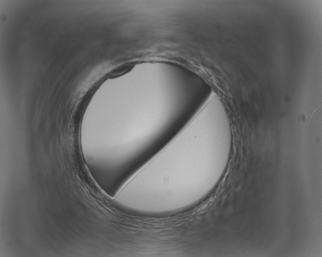 X0000067400295200603311027