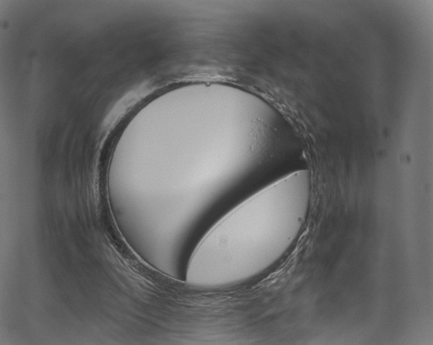 X0000067400296200603311027