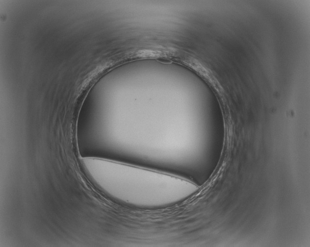 X0000067400297200603311027