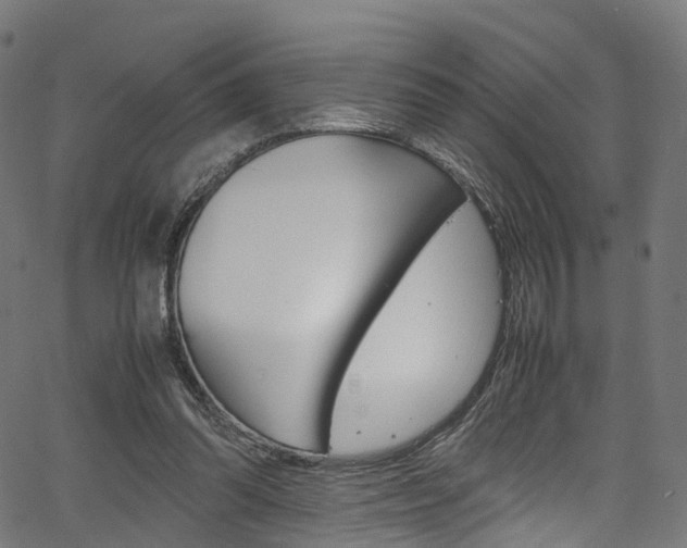 X0000067400302200603311027