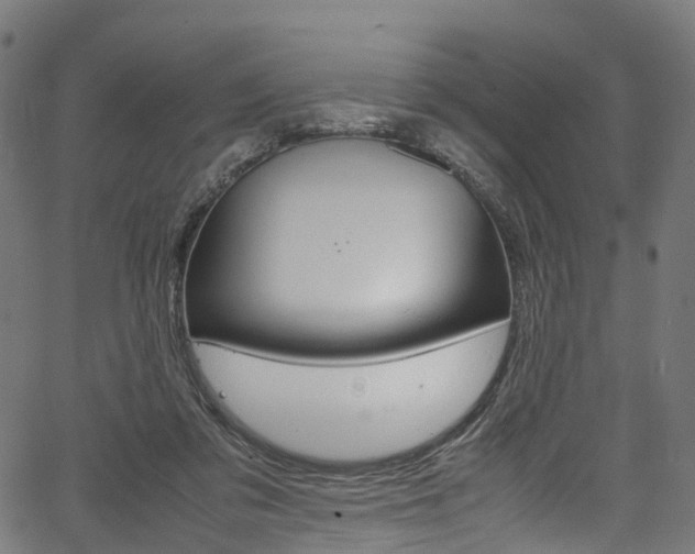 X0000067400309200603311027