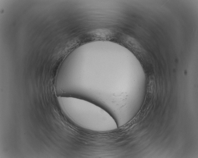X0000067400318200603311027