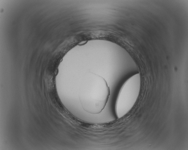 X0000067400327200603311027