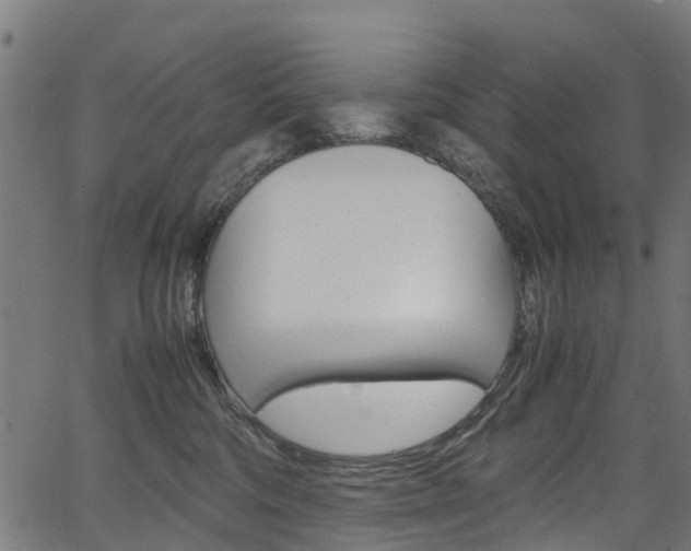 X0000067400330200603311027