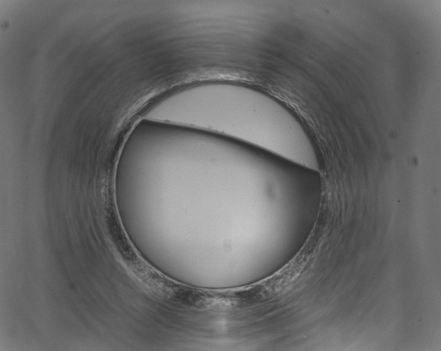 X0000067400352200603311026