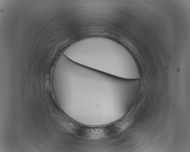 X0000067400361200603311026