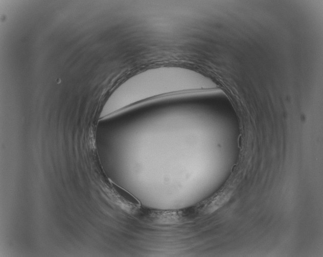 X0000067400384200603311027