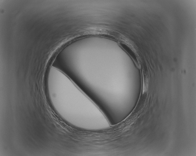 X0000067400387200603311026
