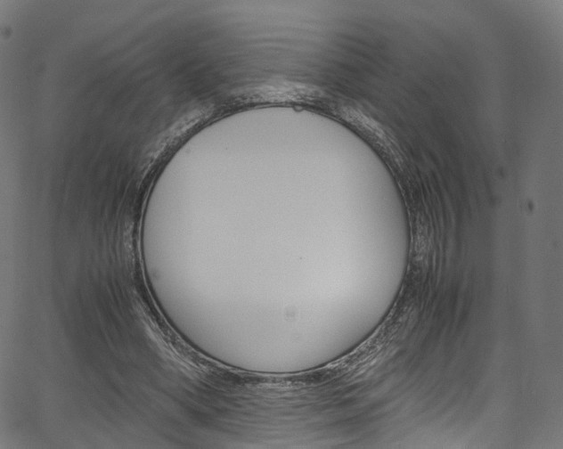 X0000067400394200603311026