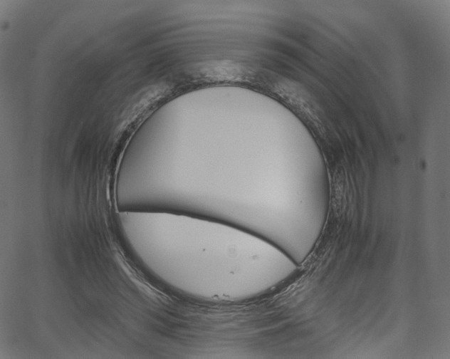 X0000067400398200603311026