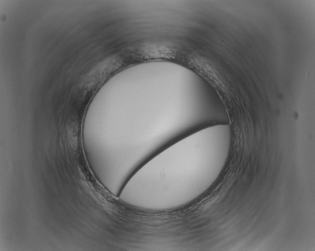 X0000067400402200603311026
