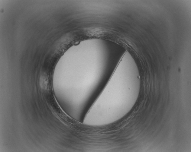 X0000067400408200603311025