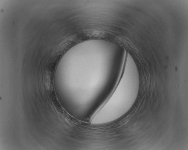 X0000067400416200603311025