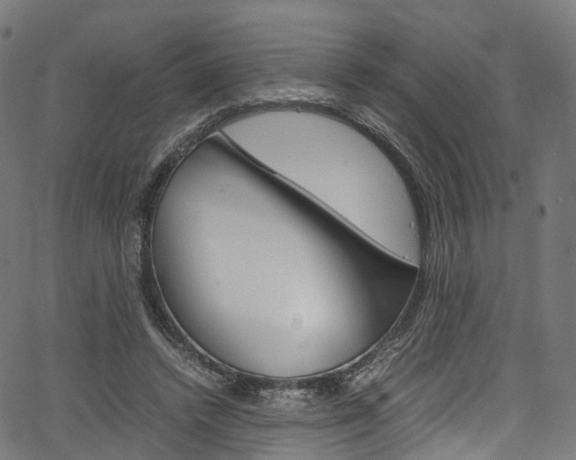 X0000067400448200603311025