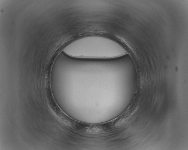 X0000067400451200603311025