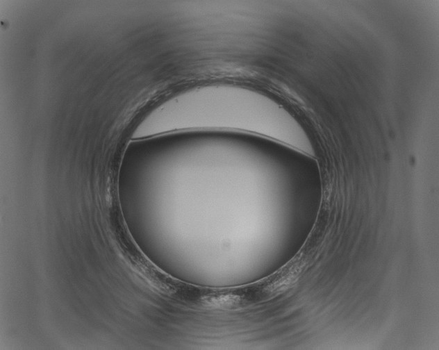 X0000067400452200603311025