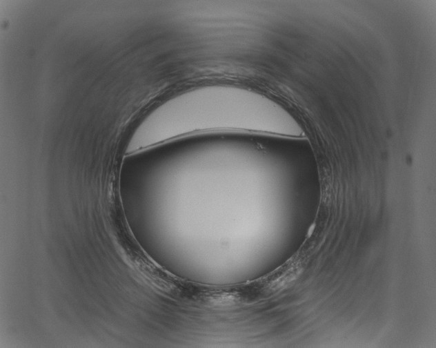 X0000067400456200603311025