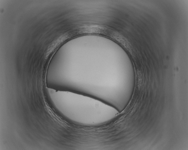 X0000067400482200603311024