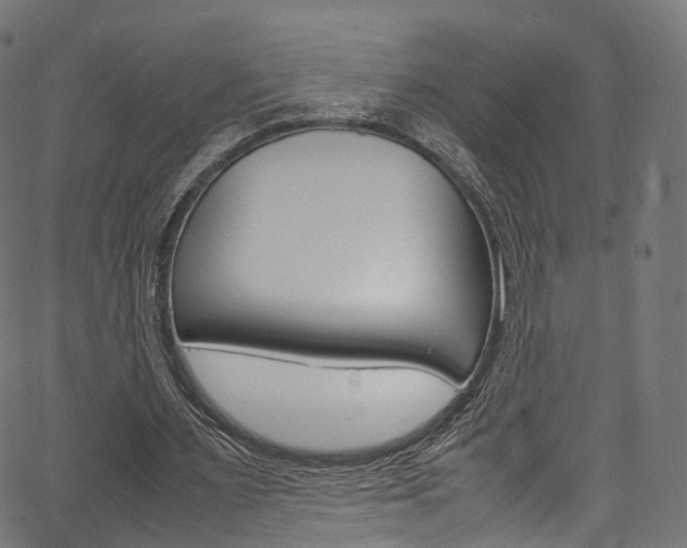 X0000067400483200603311024
