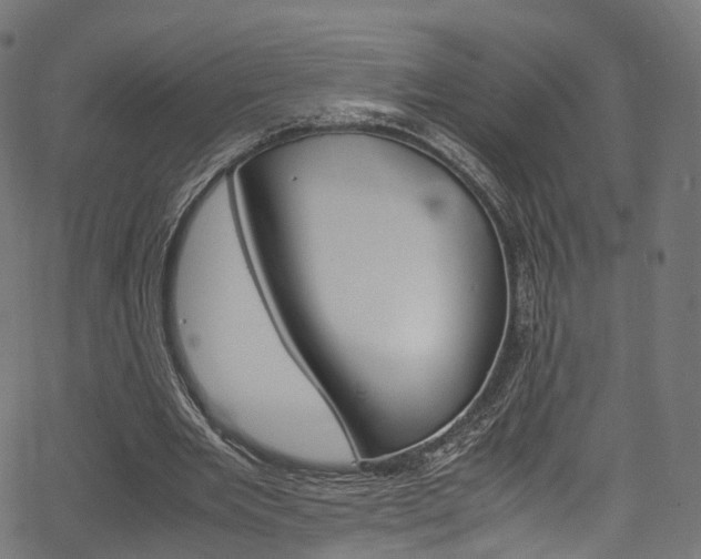 X0000067400485200603311024