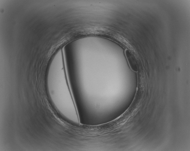 X0000067400489200603311024