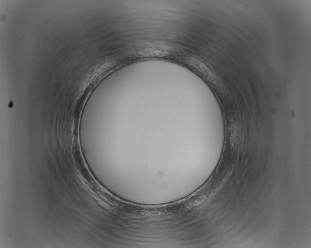 X0000067400490200603311024