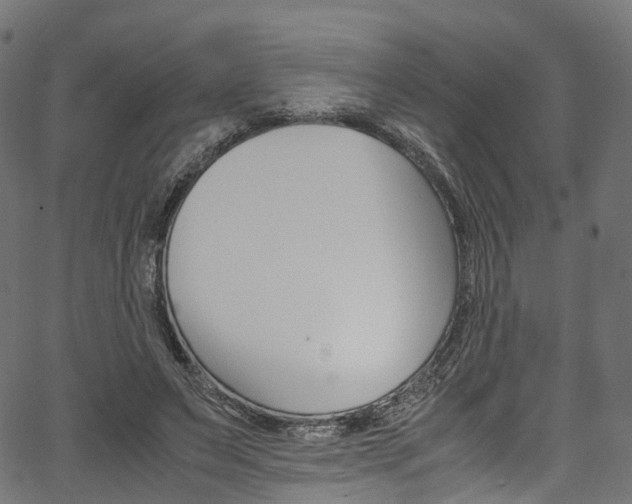 X0000067400495200603311024