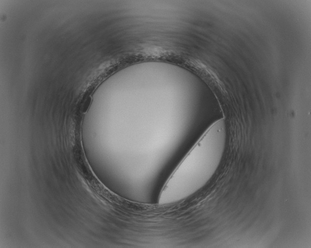 X0000067400496200603311024