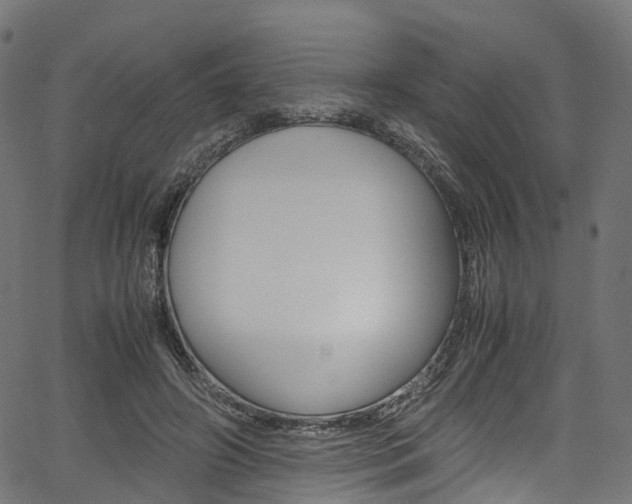 X0000067400498200603311024