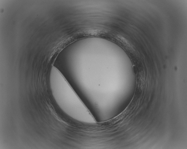 X0000067400500200603311024