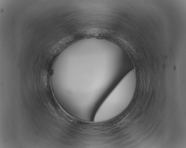X0000067400504200603311024