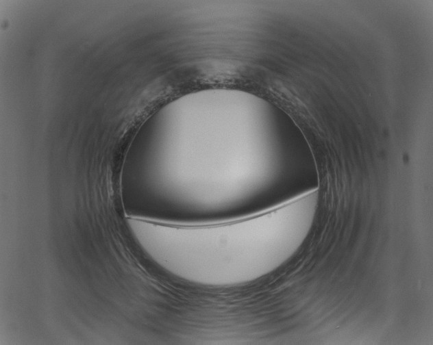 X0000067400508200603311024