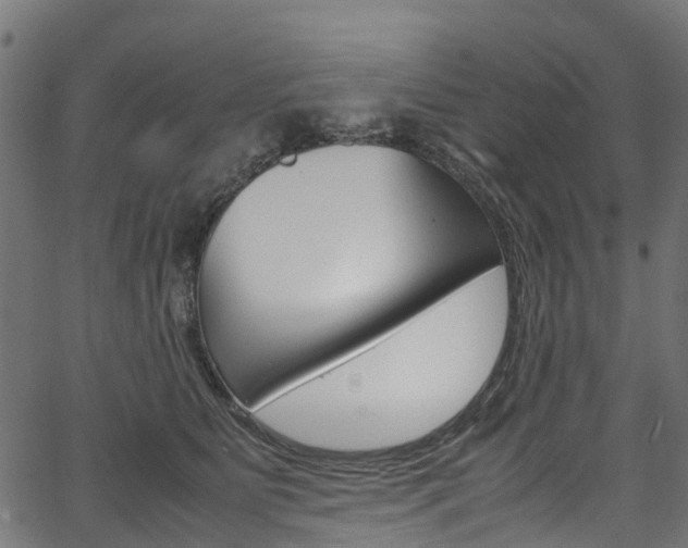 X0000067400515200603311024