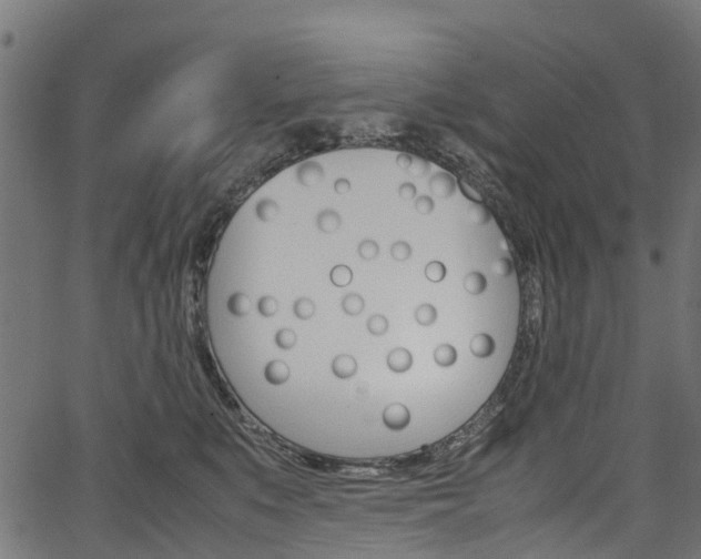 X0000067400519200603311024