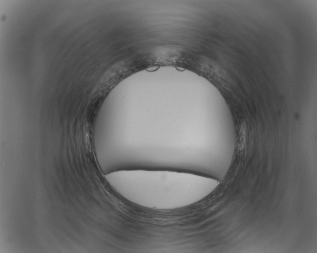 X0000067400522200603311024