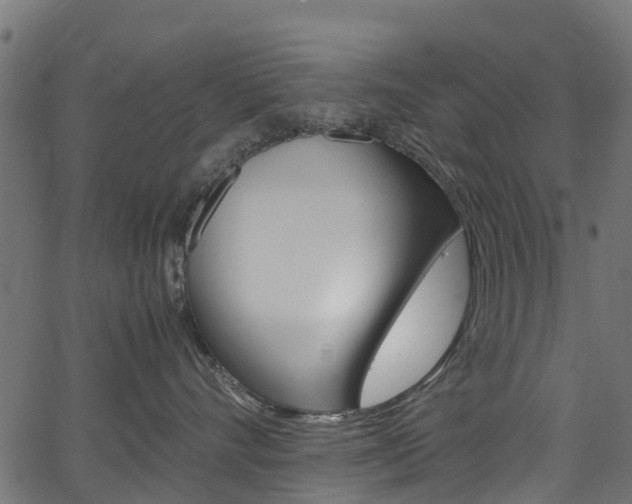 X0000067400528200603311024