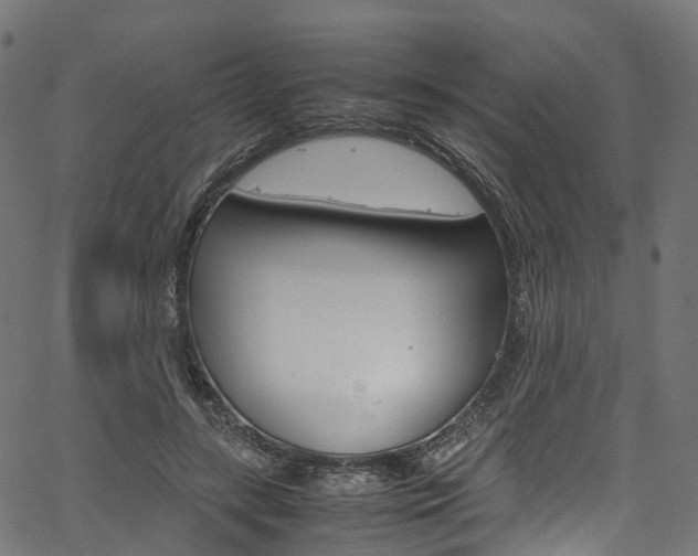 X0000067400547200603311023