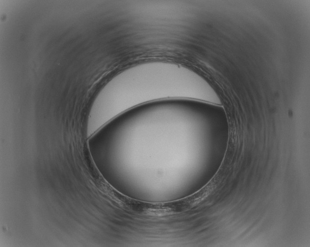 X0000067400556200603311023