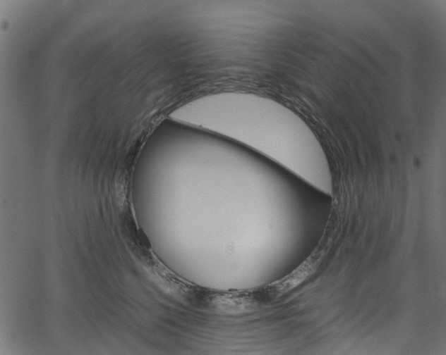 X0000067400568200603311023