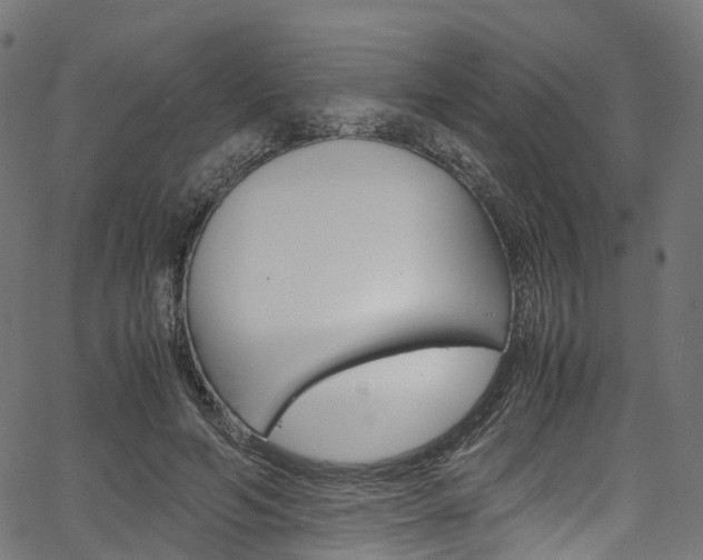 X0000067400594200603311022