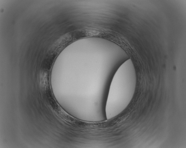 X0000067400598200603311022