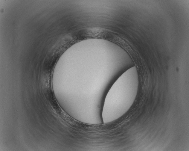 X0000067400602200603311022