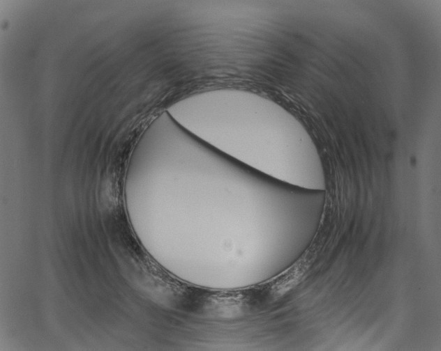 X0000067400606200603311022